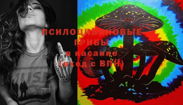 круглые Алзамай