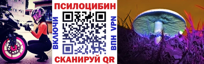 Купить закладки  Каменногорск  Галлюциногенные грибы ЛСД 